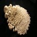 Zirconia (ZrO<sub>2</sub>) -- Photo Zirconia:   # 3